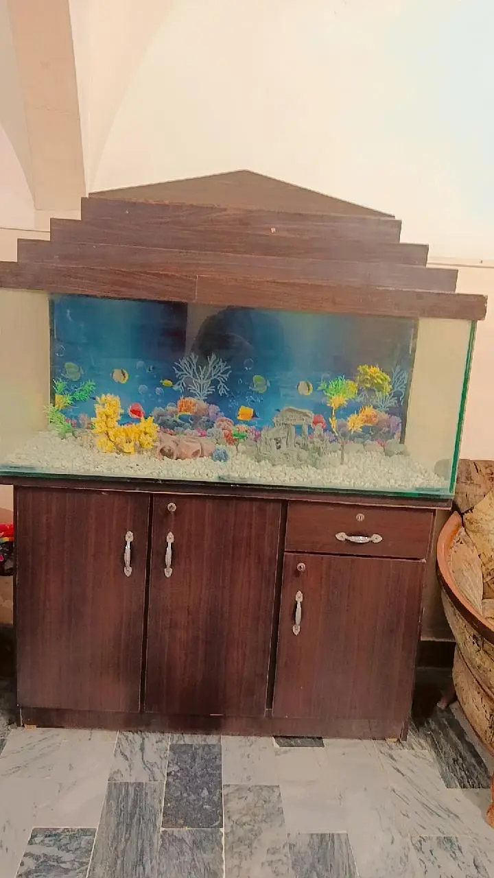 complete Fish Aquarium — photo 3