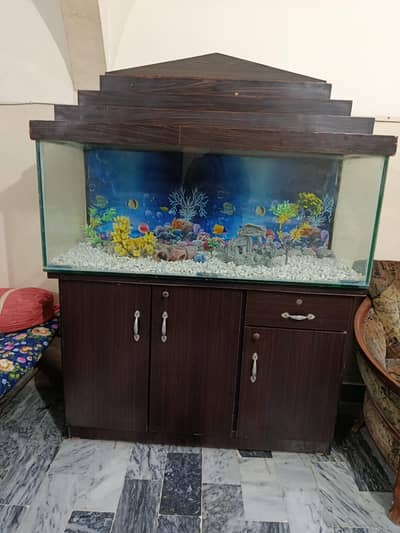 complete Fish Aquarium
