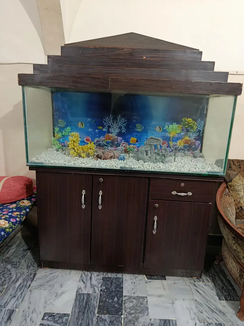 complete Fish Aquarium — photo 4