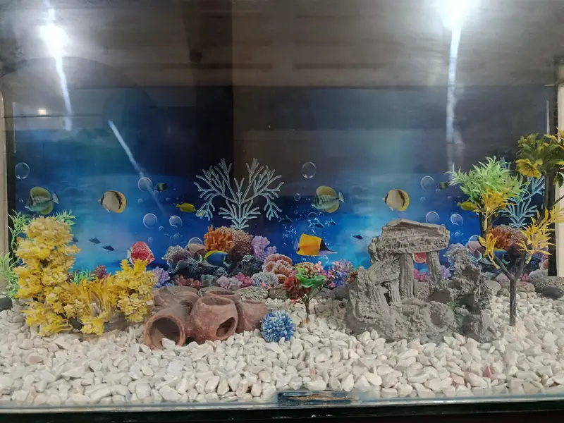 complete Fish Aquarium — photo 7