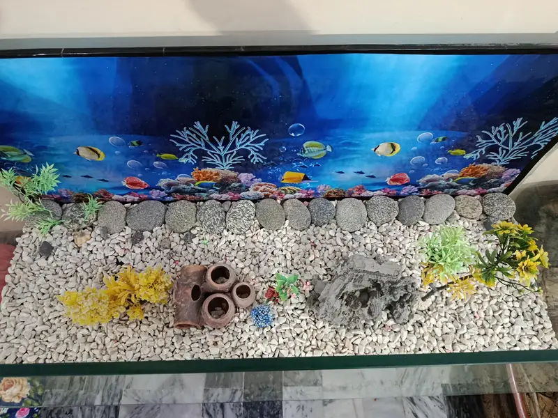 complete Fish Aquarium — photo 8