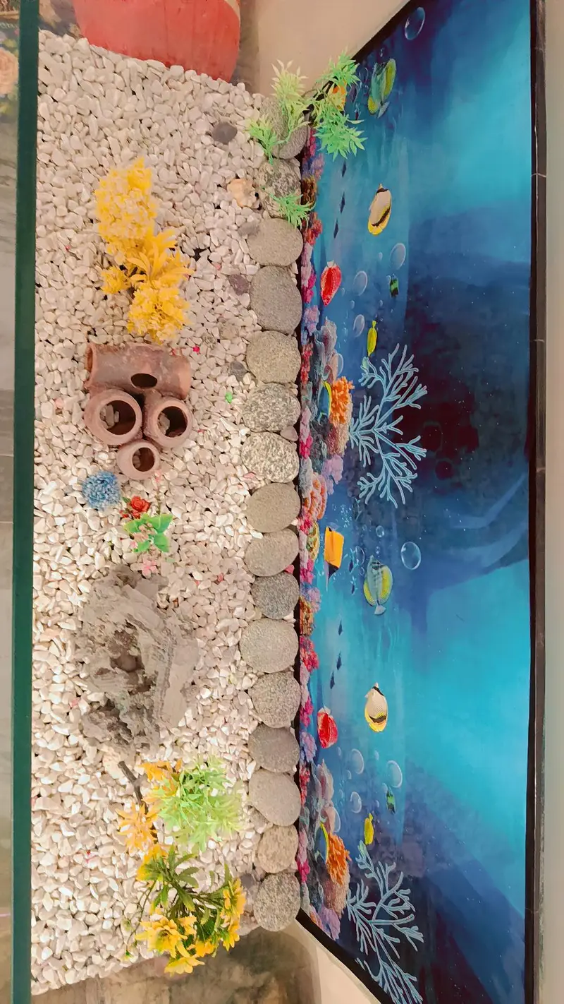 complete Fish Aquarium — photo 9