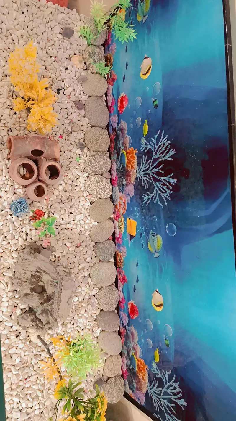 complete Fish Aquarium — photo 10