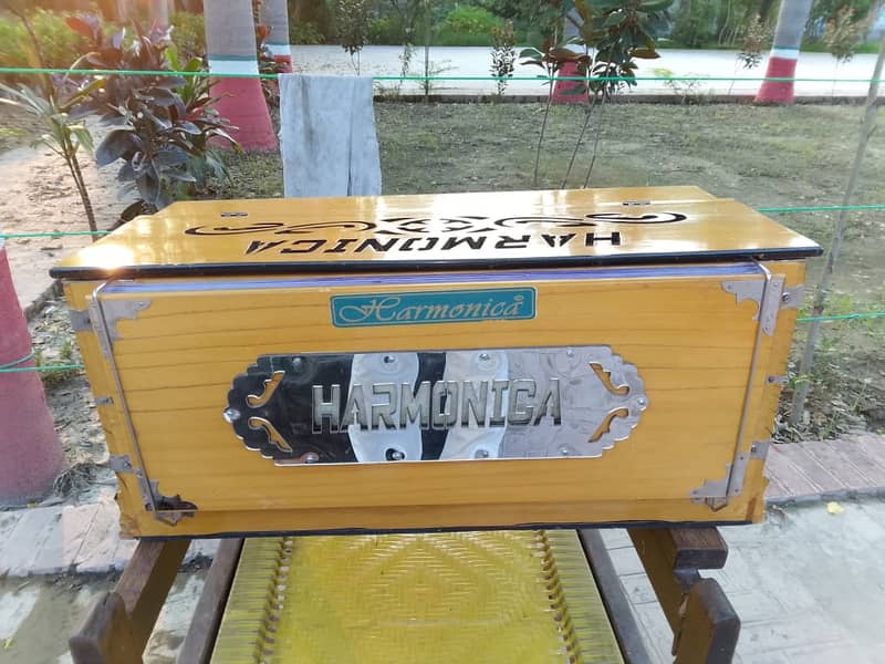 Indian Harmonica Harmonium 3