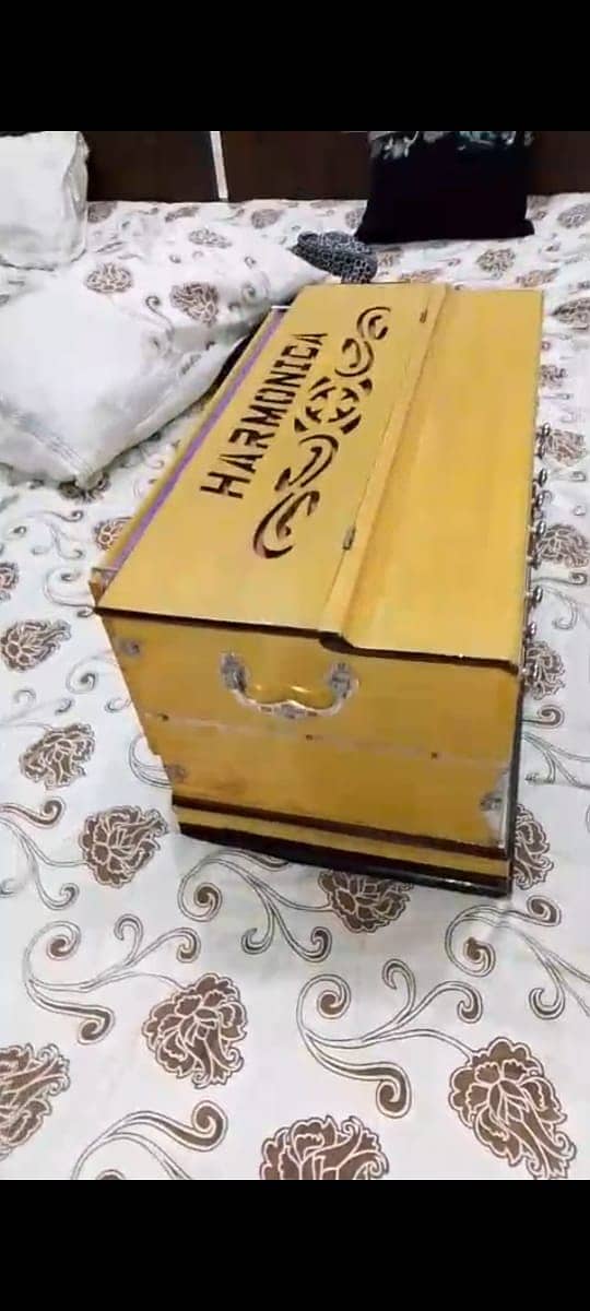 Indian Harmonica Harmonium 4