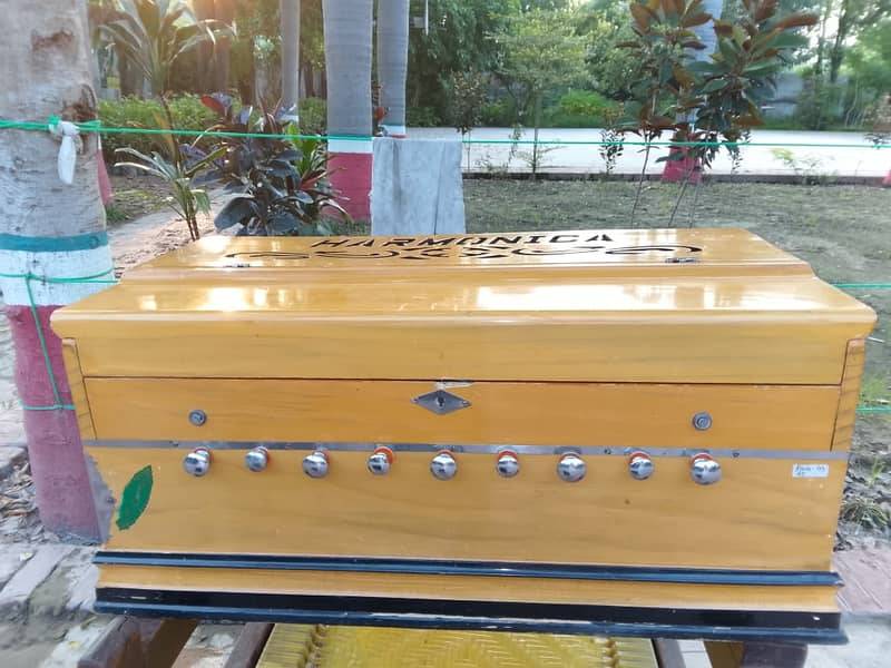 Indian Harmonica Harmonium 5