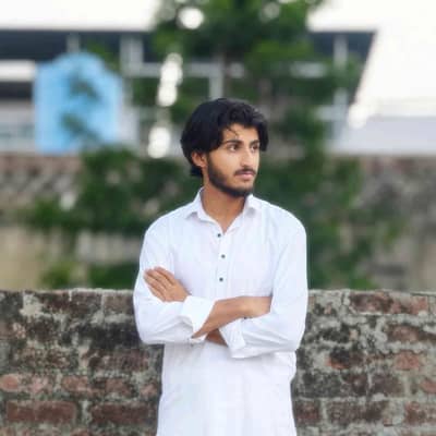 Muhammad Hussnain