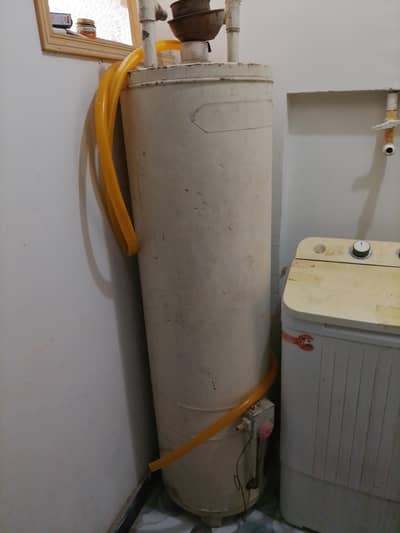 geyser for sell