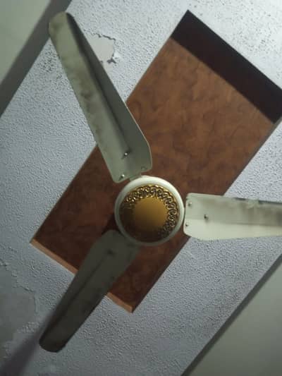 New Condition Fan