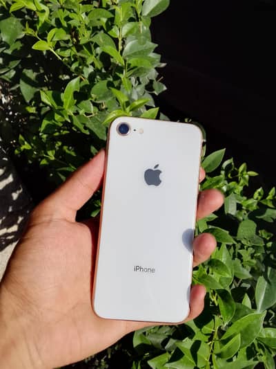 Apple iPhone 8