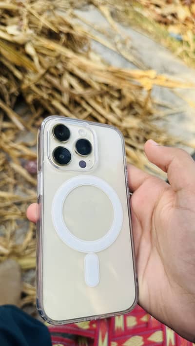 iPhone 14 Pro Golded 256Gb
