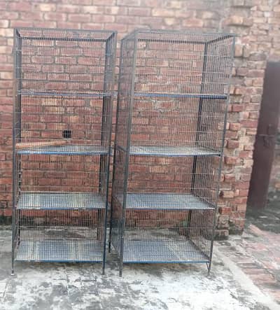 iron cages
