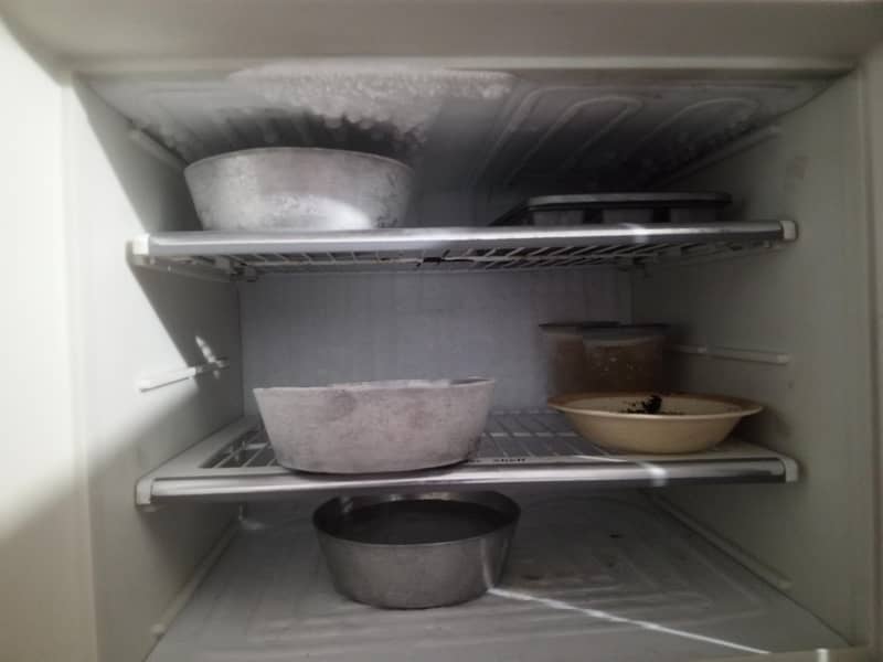 refrigerator 1