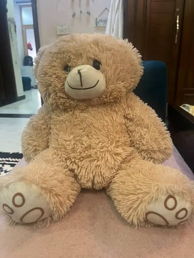 Teddy bear