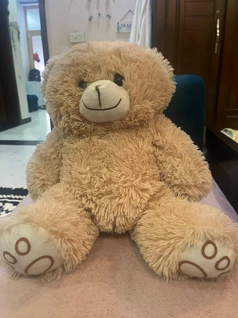 Teddy bear 0