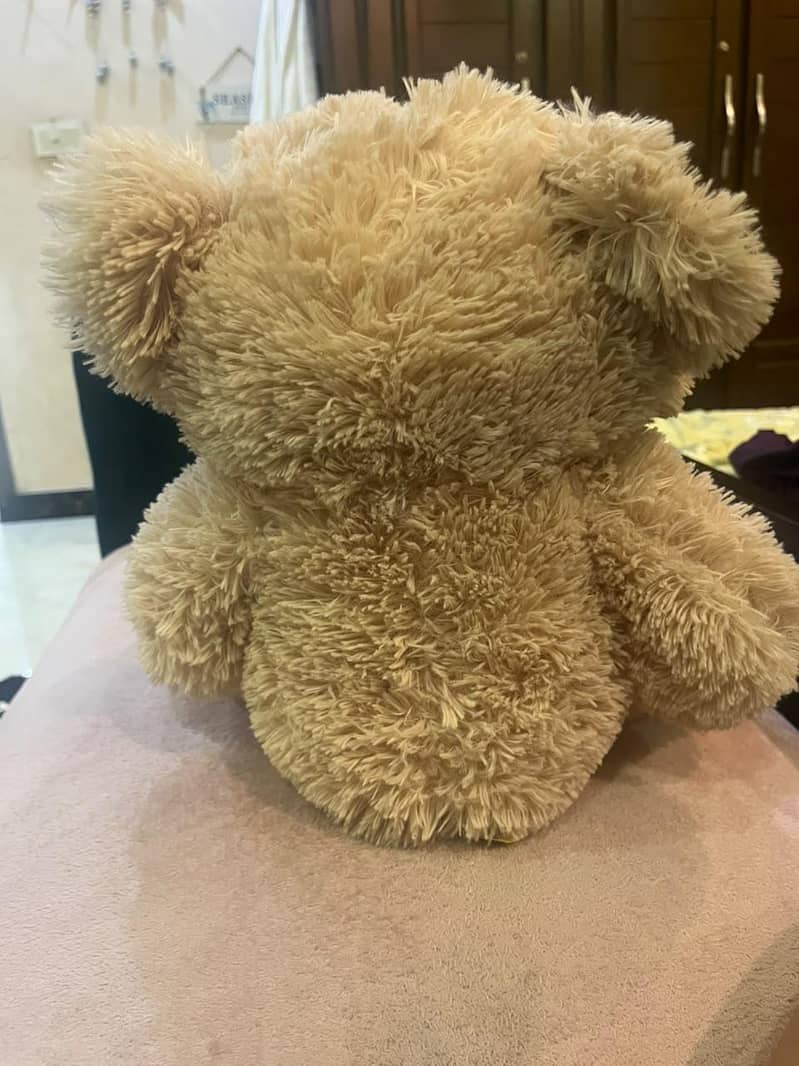 Teddy bear 3
