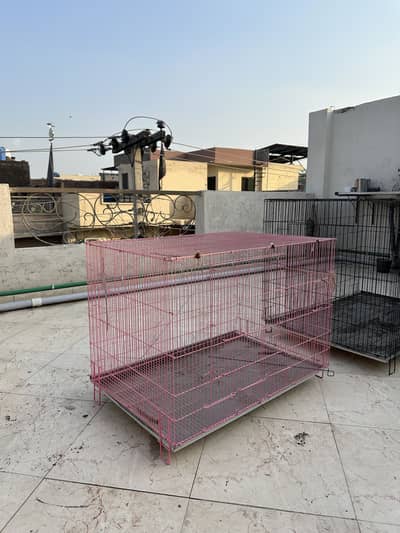 Folding cage