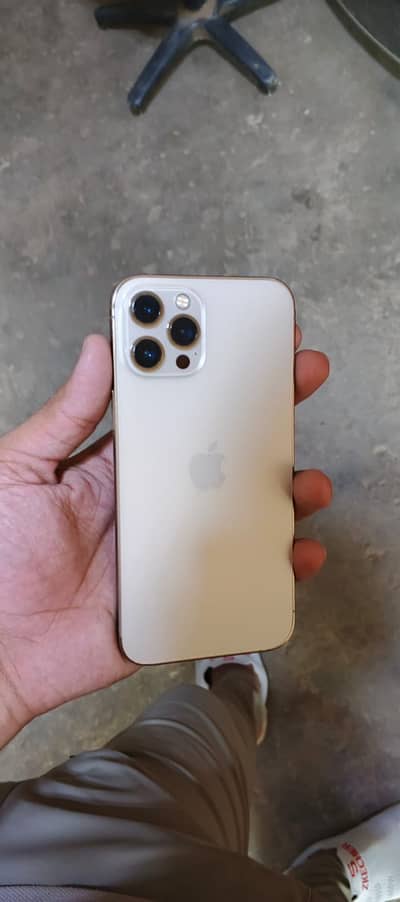 Apple iPhone 12 Pro Max