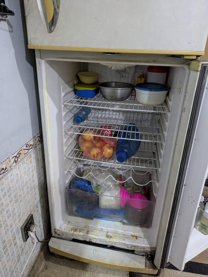 waves Refrigerator 2