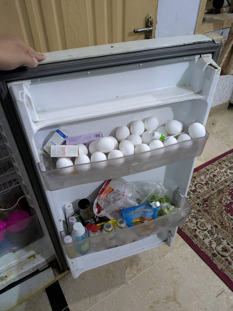 waves Refrigerator 3