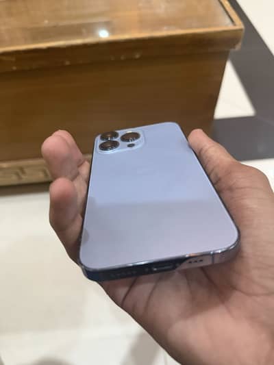 iPhone 13pro