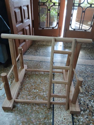 Ringneck/Raw parrots standing stand with ladder