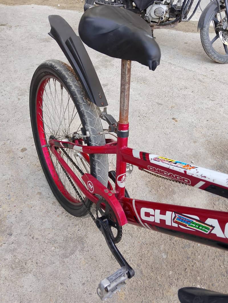 Full Size Cycle 3