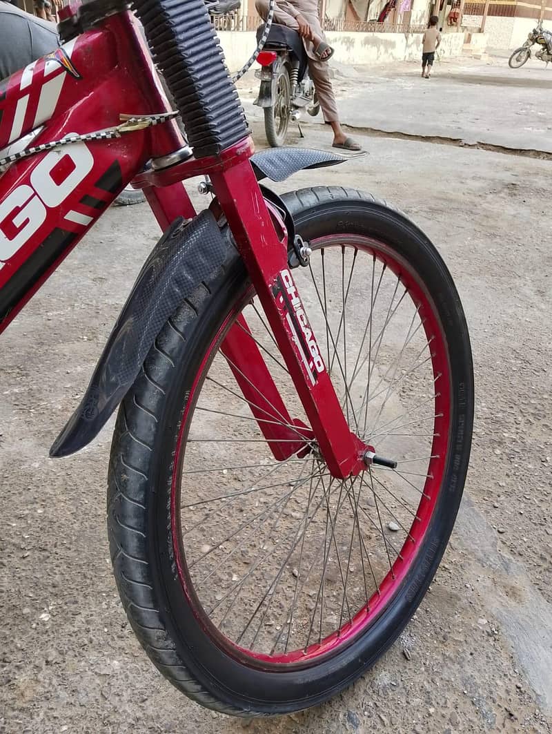 Full Size Cycle 5