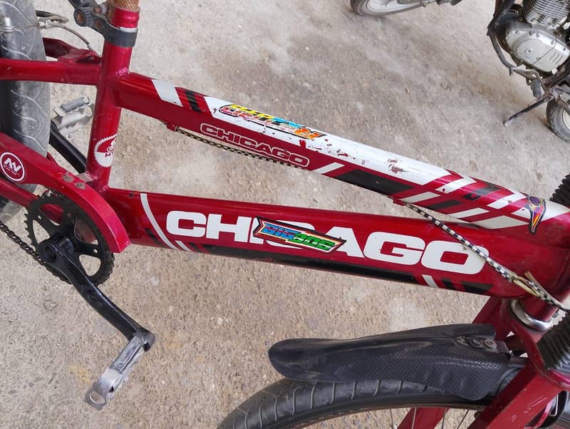 Full Size Cycle 6