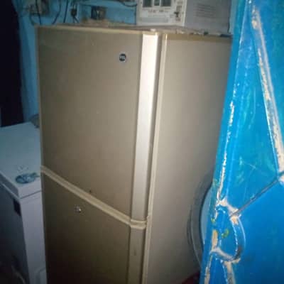Fridge Pel 2015