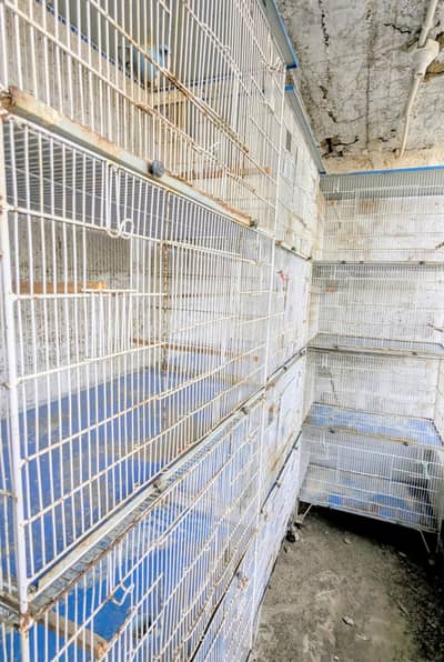 cages