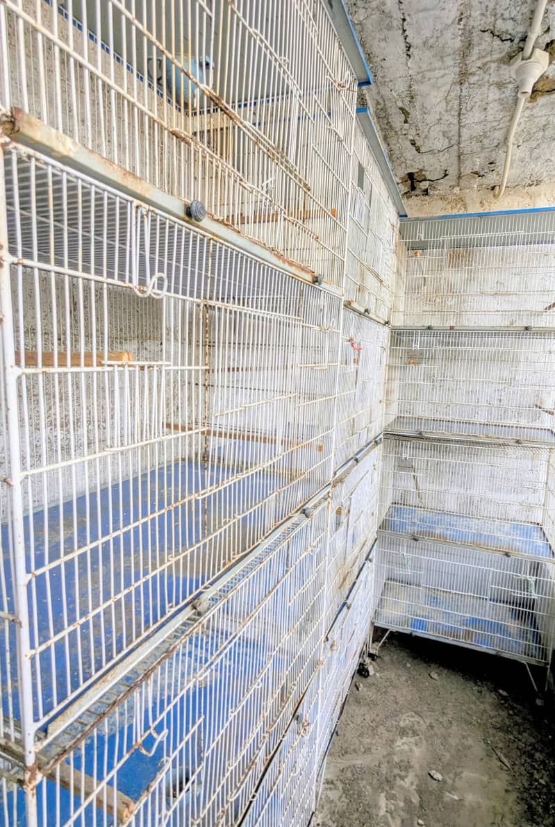 cages 0