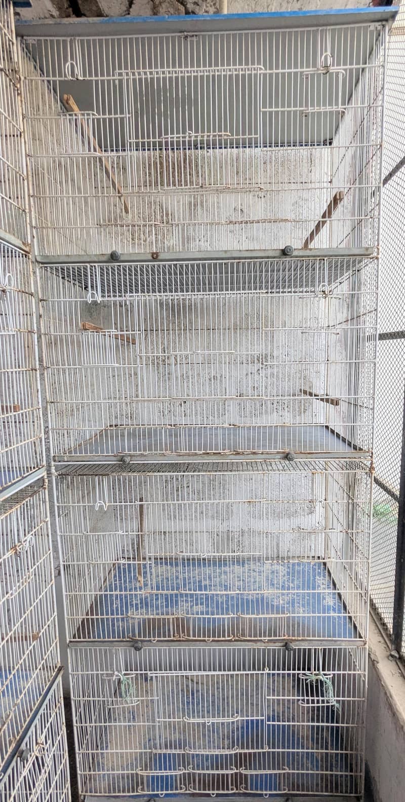 cages 1