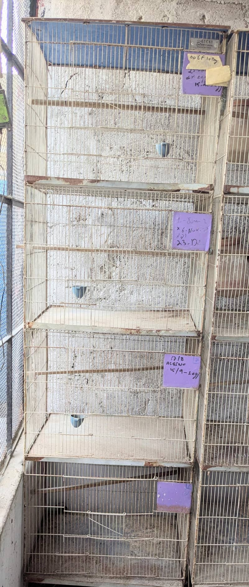 cages 2