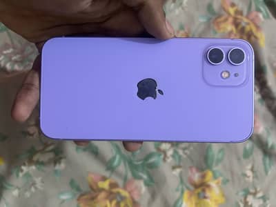 iPhone 12 Jv