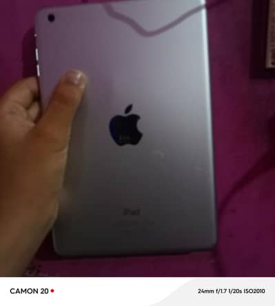Apple iPhone ipad read description