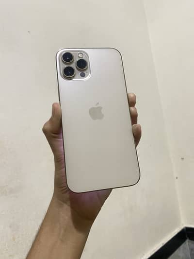 iPhone 12Pro Max (Jv WaterPack)