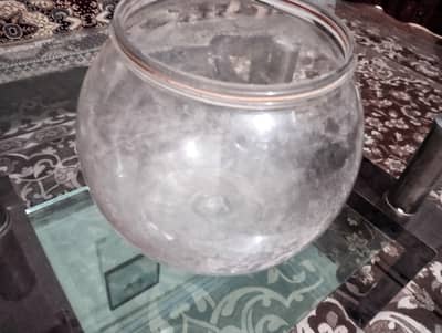 Fish Aquarium / Bowl
