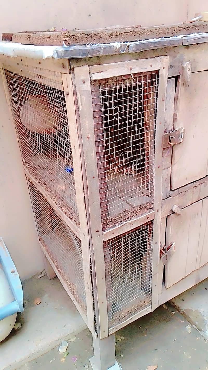 Hen cage . 3