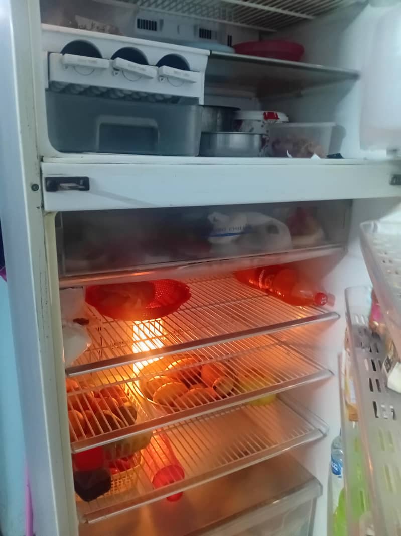 fridge 2
