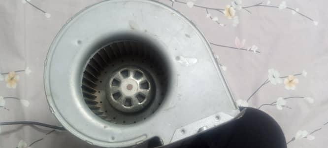 impoted fan
