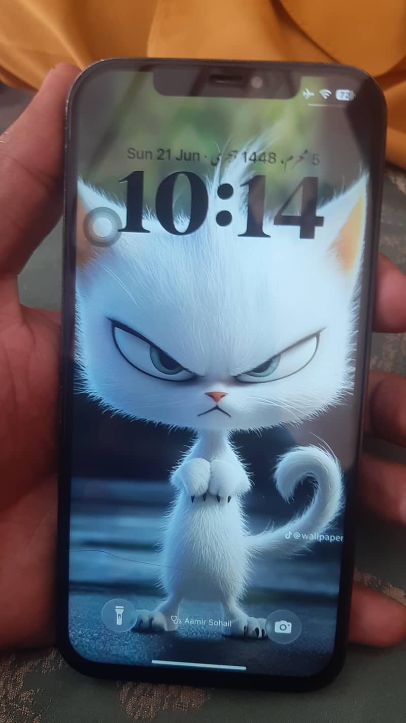 IPHONE 12 PRO MAX 3