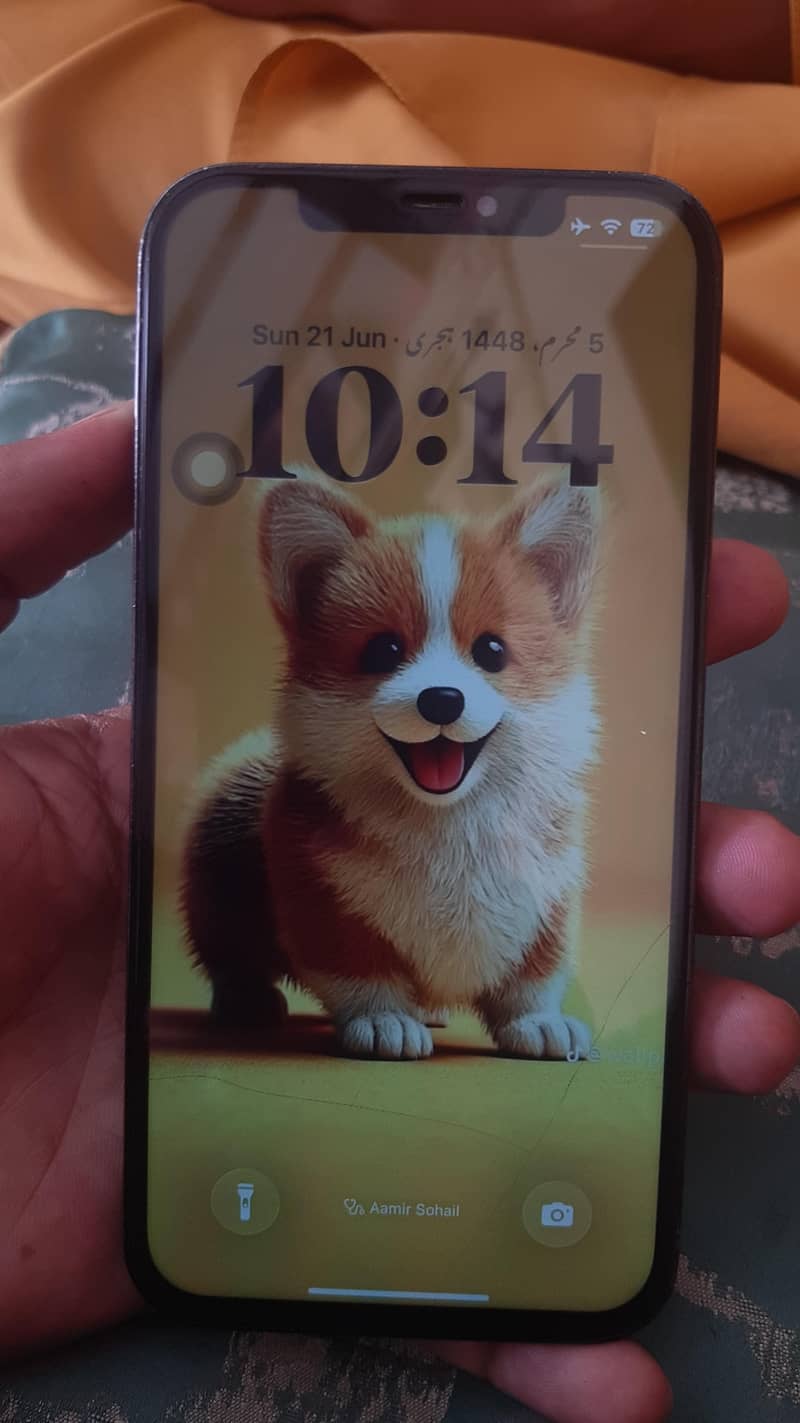 IPHONE 12 PRO MAX 4