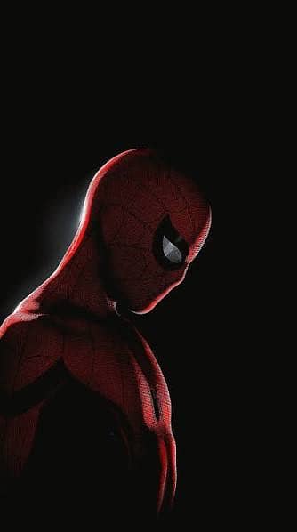 spider X