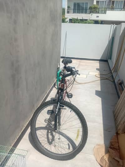 Mountain bike