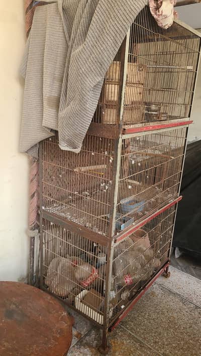 3 portion large cage  for parrot