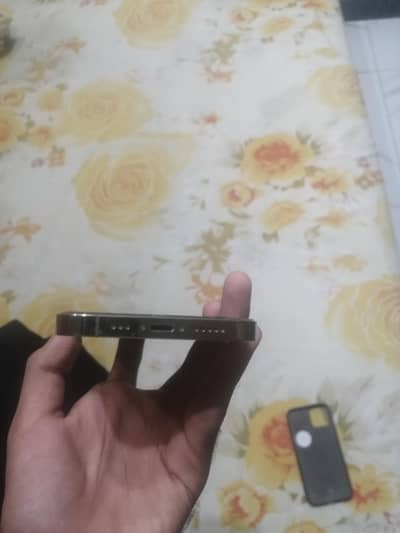 Apple iPhone 12 Pro