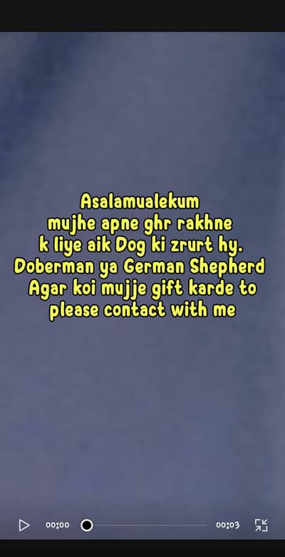 need a dog for my house security purpose