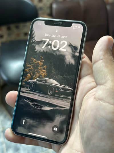Apple iPhone X