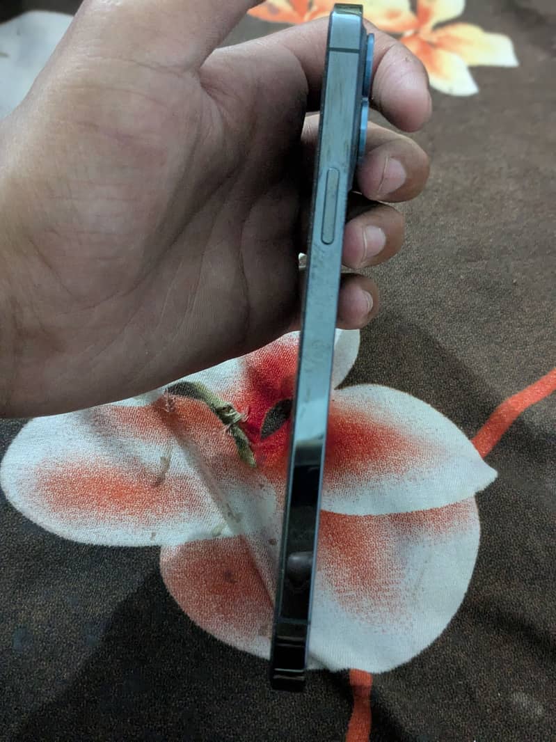 iPhone 12 Pro Max 0